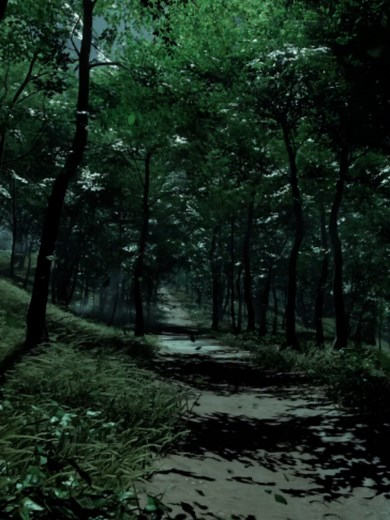 #fyp #healing #winds #scenery | Scenery