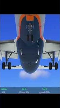 Real Flight Simulator AREO FLOT Landing at Costa Del RFS