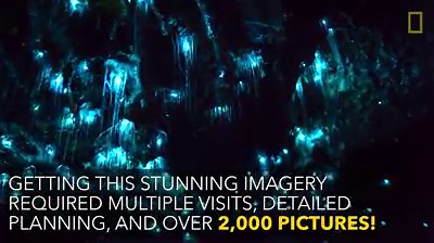 In New Zealand’s Waitomo Caves, bioluminescent glowworms create a gorgeous spectacle. http://on.natgeo.com/2eO6UEC | National Geographic