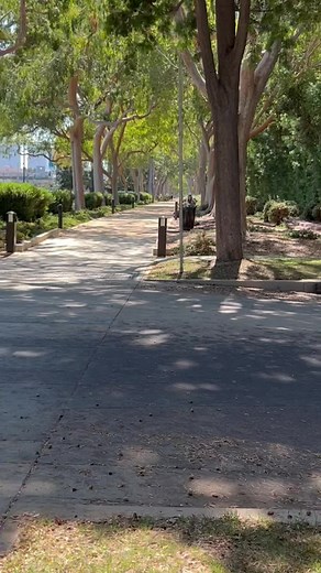 I love these moments for me so very much 🥰 #WorldPrincessWeek