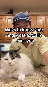 331K views · 8.3K reactions | Ways to know your Angry Cat actually loves you! #sirpounce #reels #reeler #cats #catlovers #cat #catfacebook | Sir Pounce Emporium | Facebook
