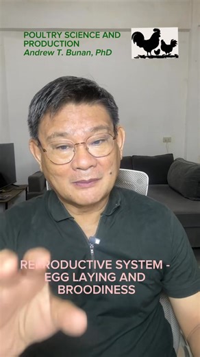 Poultry Science and Production: REPRODUCTIVE SYSTEM - EGG LAYING AND BROODINESS | DOC Andrew BUNAN