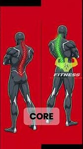 Stop Wrecking Your Back! Master the Perfect Deadlift Form (Step-by-Step Guide)