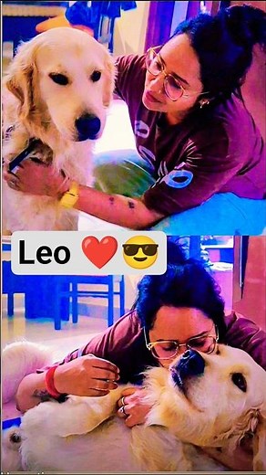 Leo The Cutest Dog Ever 🐶❤️ | Funny & Adorable Moments 😎🙆