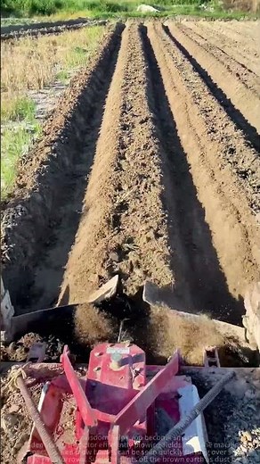 Tractor Plowing in Action: How Machinery Turns Soil for a Bountiful Harvest