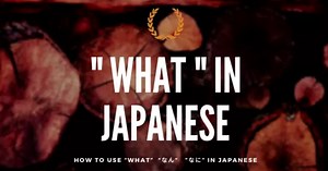 How to use “What” “なん”　”なに” in Japanese