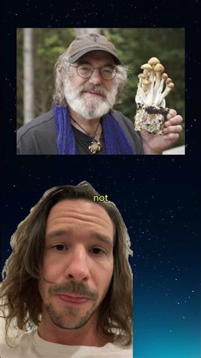 Stamets Stack Enhances Brain Performance