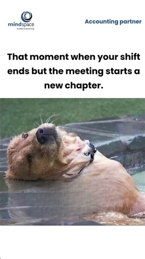 meems (Mobile Video).mp4