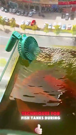 Emergency oxygen supply techniques for fish tanks 🐟⚡ #shorts