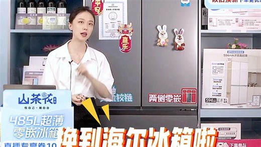 海尔（Haier）「小红花系列」482L法式多门冰箱594mm专业超薄零嵌BCD-482WGHFDB9SYU1国家补贴