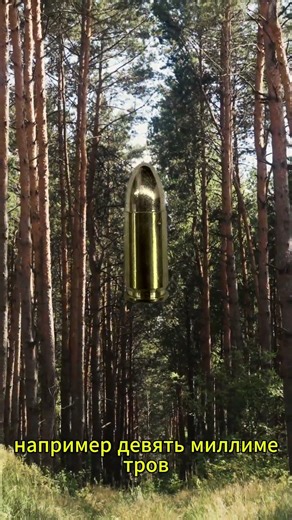 ППШ использовал патроны 7,62х25?