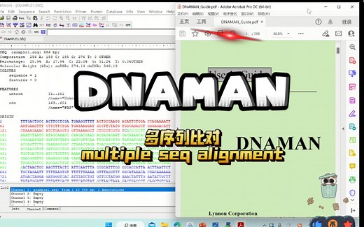 DNAMAN 软件^_^ 多序列比对 multiple alignment