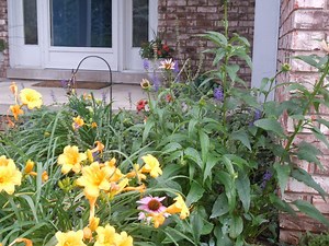 10 Tips to Selling Your House Fast