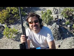 22 Hornet, Savage Model 25 / Cabelas Magnitude 2,5x10-50