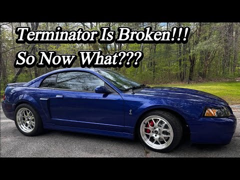 Terminator Is Broken And End Of Year Review