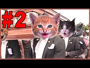 Dancing Funeral Coffin Meme - CATS VERSION #2