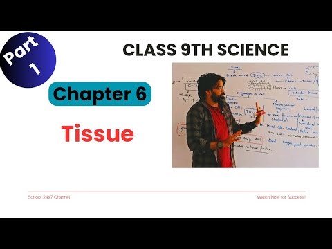 Tissues Class 9 Science Ch 6 |Plant & Meristematic Tissues Explained | NCERT Part 1 #tissue #science