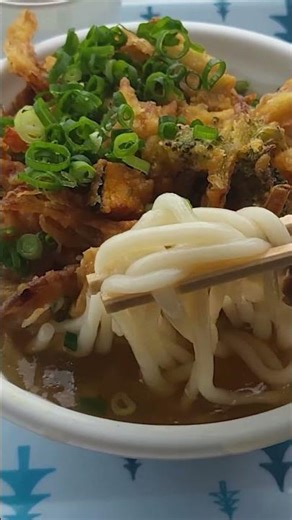 TASTY Udon from the back of a TRUCK!? NOT a FANCY restaurant!