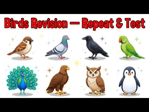 Birds Revision + Repeat Practice | Learn Birds for Kids | Exam Practice
