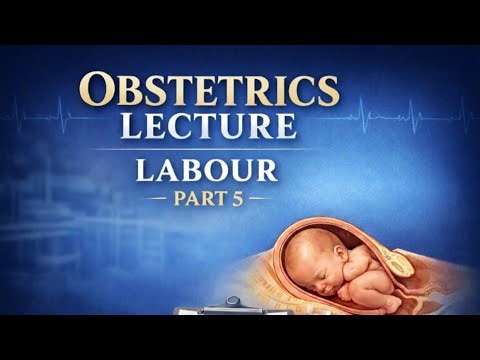Pain Relief & Induction of Labour | Obstetrics Lecture for Medical Students
