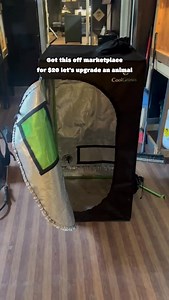 You guys better treat quarantine seriously! One of my rarest snakes in my family of personal animals my Tanimbar Scrub Python. * * * #explore #explorepage #tanimbarscrubpython #scrubpython #gatorboysouth | Donovan Lindo