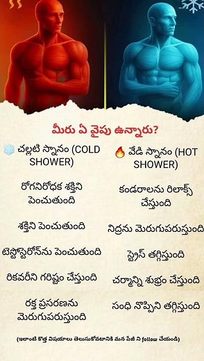 Hot Shower or Cold Shower? Which One Is Better for Your Body?
