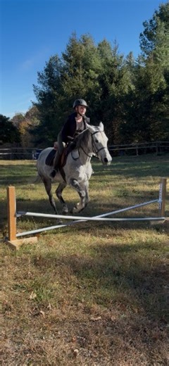 Finley and Josie take a ride around. For Horseback Riding Lessons call/text Cary at 239-213-8691 #ButlerStables #RidingLessons #horseaddict #horselife #horsebackriding #horses_of_instagram #horsesofinstagram | Butler Stables