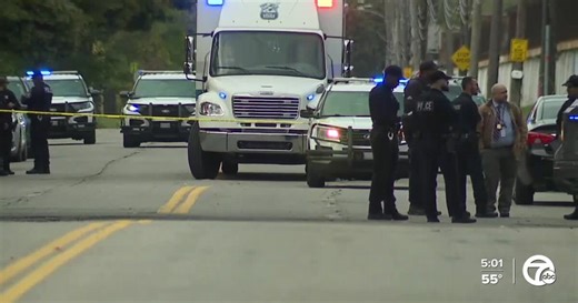 Suspect in shooting of 2 Detroit cops was an active DPD officer, police say