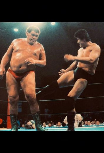 プロレス喧嘩マッチ伝説1980年代から1試合ベストマッチを選びました。#プロレス #前田日明 #アンドレザジャイアント #プロレス喧嘩マッチ伝説 #ジャスト日本 #shorts