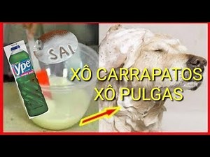 COMO ACABAR COM AS PULGAS E CARRAPATOS - RECEITA CASEIRA| parte 1