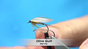 Tying an Olive Quill (Wet Fly) with Davie McPhail