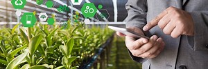 How AI can be used in agriculture: Applications and benefits | TechTarget