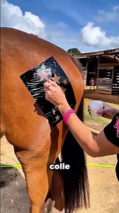 His horse shines in the race thanks to this trick!