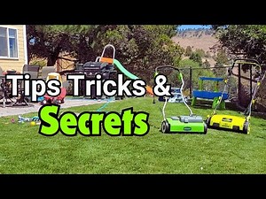 The Stuff Nobody Tells You About Electric DeThatchers