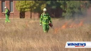 Planned burns will soon start across the state to help mitigate the risk of devastating bushfires. #WINNews | Channel 8 & 80 (HD) Weeknights from 5:30pm | WIN News Australia