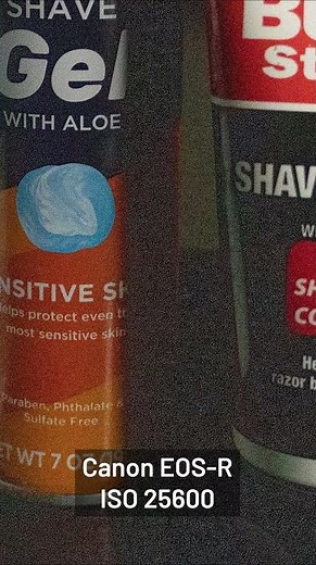 Why Full Frame Wins in Low Light (Canon EOS R vs Lumix FZ300) #EOSR #LumixFZ300 #LowLightPhotography
