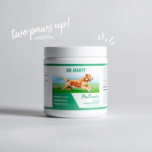 3 comments | ProPower Plus supports: ✔️ Fresh breath and healthy teeth ✔️ Healthy skin (which can mean less itching) ✔️ Tail-wagging good moods ✔️ “Perfect” poops ✔️ A healthy immune system ⁠ Get your paws on a bottle now: https://bit.ly/2zFaopH  P.S. SAVE 25% with offer code: SOCIAL25 | Dr. Marty Pets | Facebook