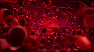Red blood cells arterial blood stream medicine health biology anatomy physiology microscopic microbiology science medical treatment human vein circulation pressure level life cell
