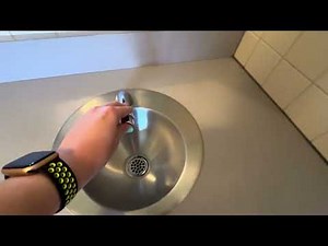 L553. World Dryer Model A | Roehr Park | Lake Oswego, OR