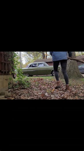 Fall yard clean up pt. 3 trees