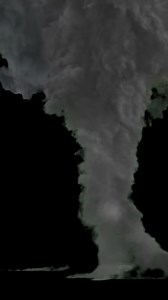 Interesting things to learn and know about | The Action Lab