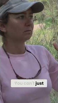 Hiking Couple's Wedding Journey: Love, Compromise, and 2000 Miles #shorts