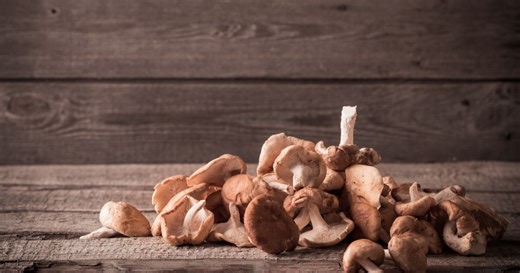 Neobična pečurka izaziva halucinacije: Ljudi vide sićušne ljude kako se opuštaju na svim površinama