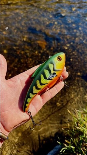 Upscaling My 3D Printed Lipless Crankbait | Big Predator Lure Test #lurebuilding #customfishinglures