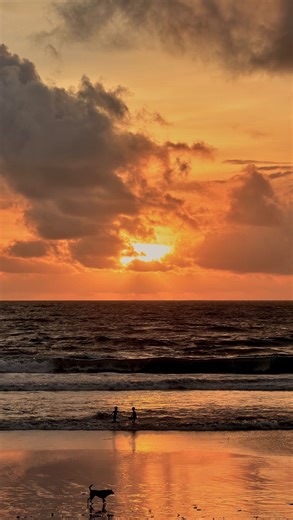 Genta | A Seamless Stay by the Sea @alilaseminyak @alilahotels There is something timeless about staying by the ocean, and Alila Seminyak... | Instagram