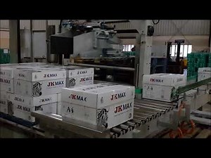 Robotic Palletizer for stacking carton boxes