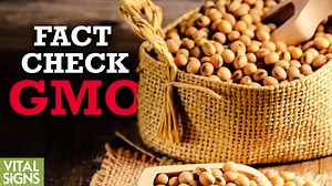 Do Claims About GMOs Hold Up to Reality?How Do GMO Crops Rate Across 3 Key Measures?