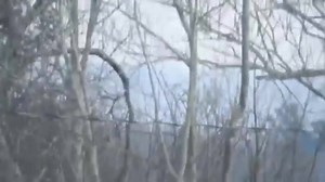 P900 Camera Zoom Test. Zooming In On A Stop Sign & Zooming In On Our Sun. | PlaneTerra