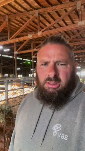 183K views · 9.7K reactions | Veal? Let’s get back to reality. | TDF Honest Farming | Facebook