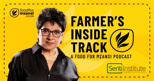 Seriti Institute connects partners for lasting community change